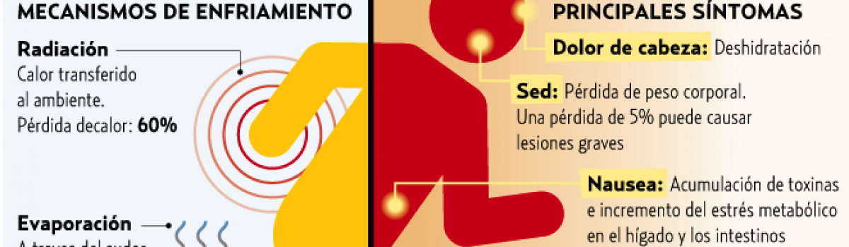 Un verano sin lesión cerebral