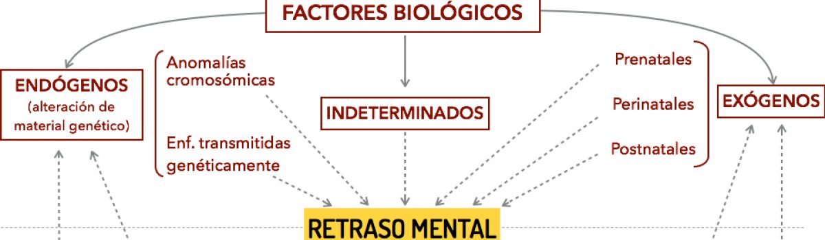 ¿Prevenir las malformaciones del sistema nervioso?