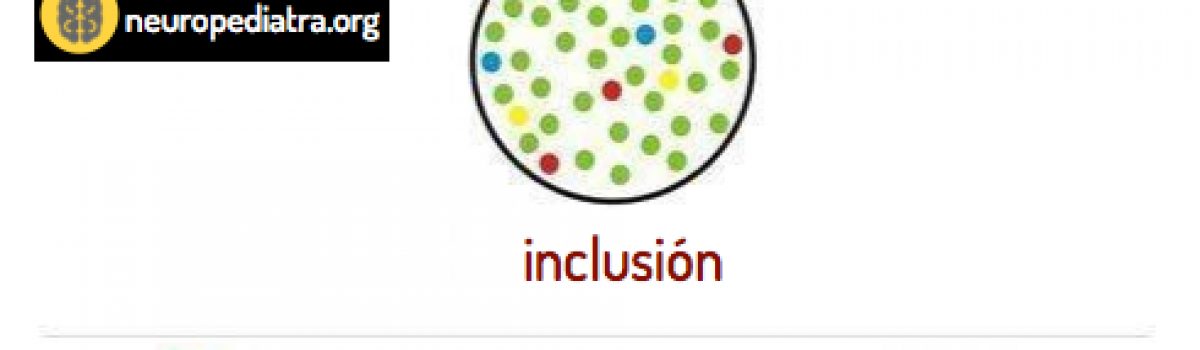 Escolarización inclusiva