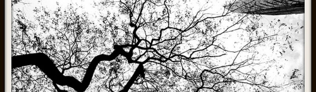 Otoño y epilepsia