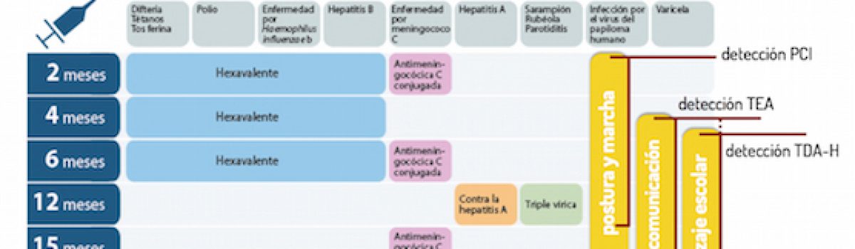 Vacunas y daño cerebral