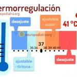 ¿Cómo afecta el calor al cerebro infantil? Lo que sabemos hoy
