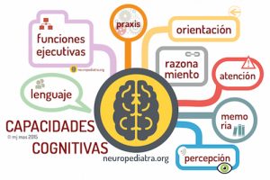 capacidades cognitivas