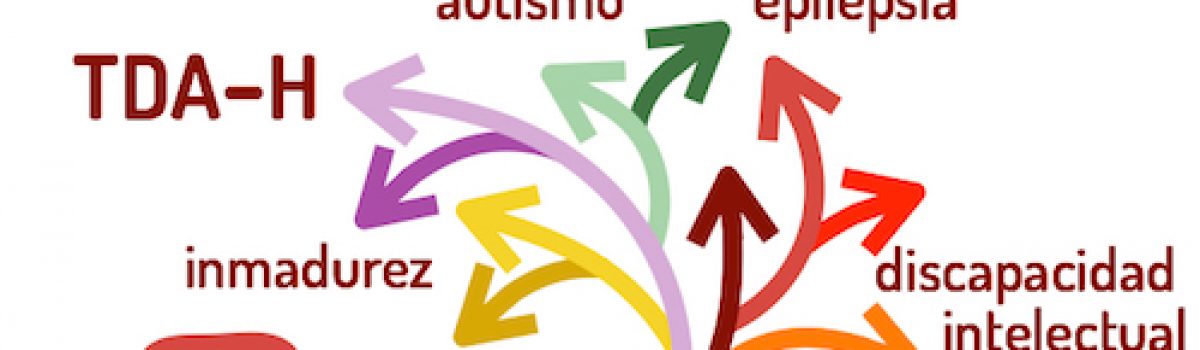 Sobre el TDAH: los médicos también nos equivocamos