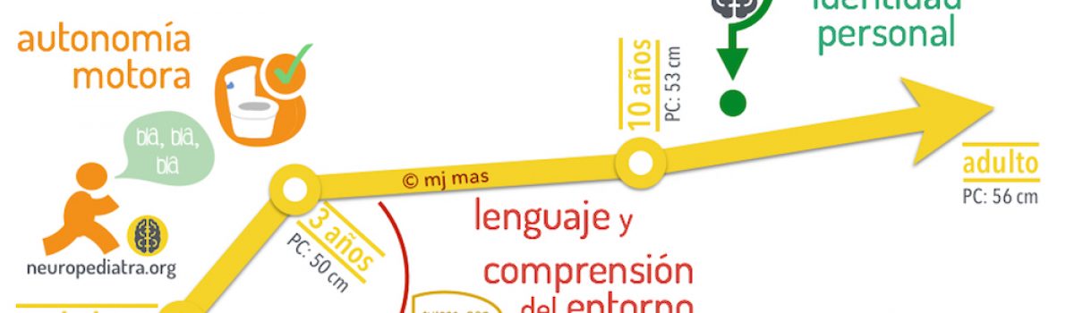 Etapas del neurodesarrollo
