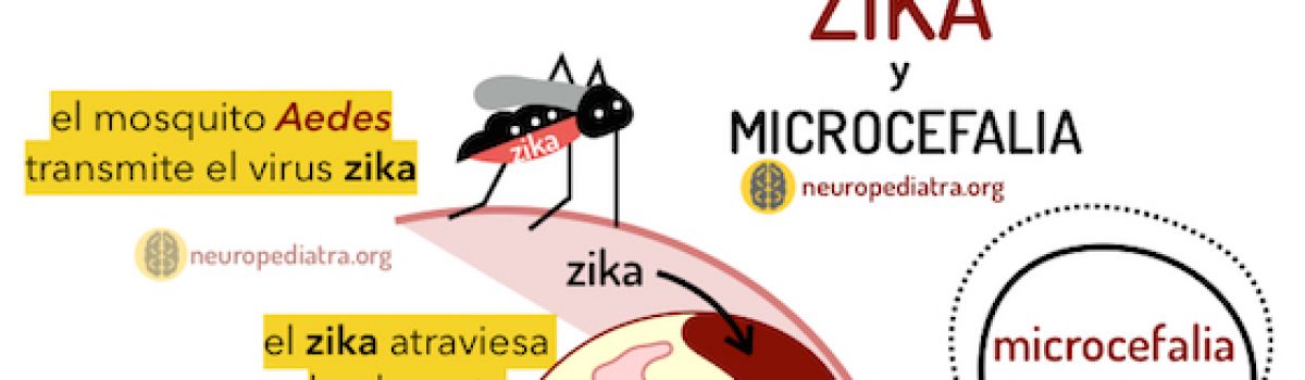 El virus zika y la microcefalia