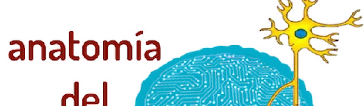 El cerebro del autismo