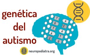 genética del autismo