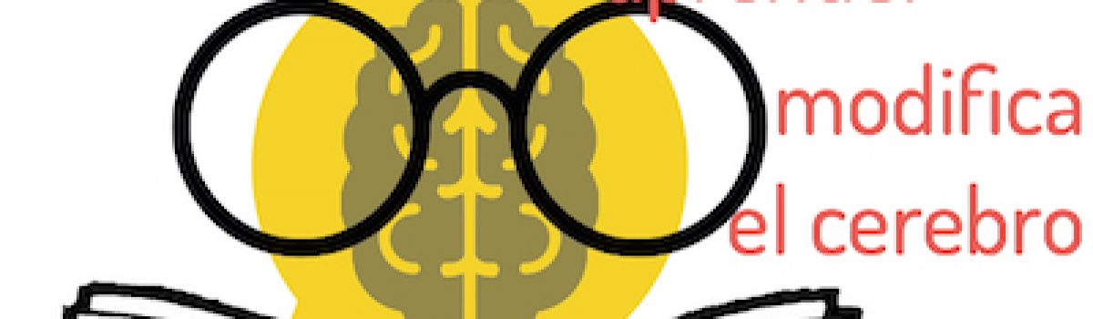 Aprender modifica el cerebro