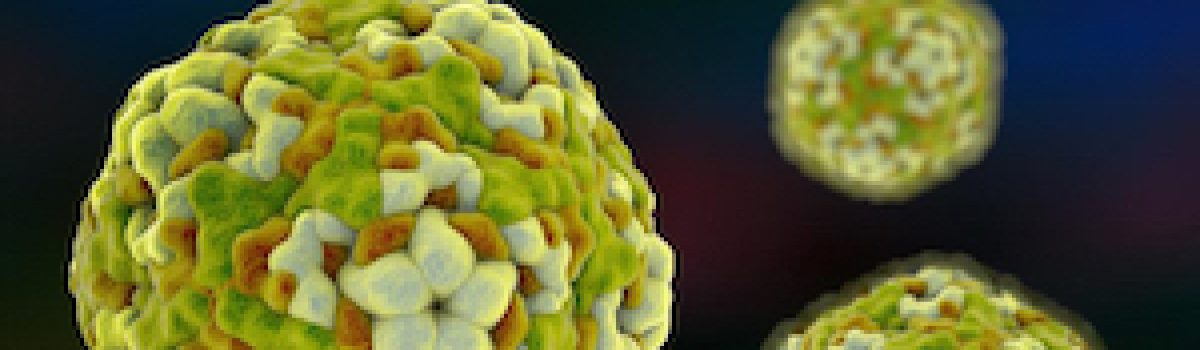 Brote de enterovirus