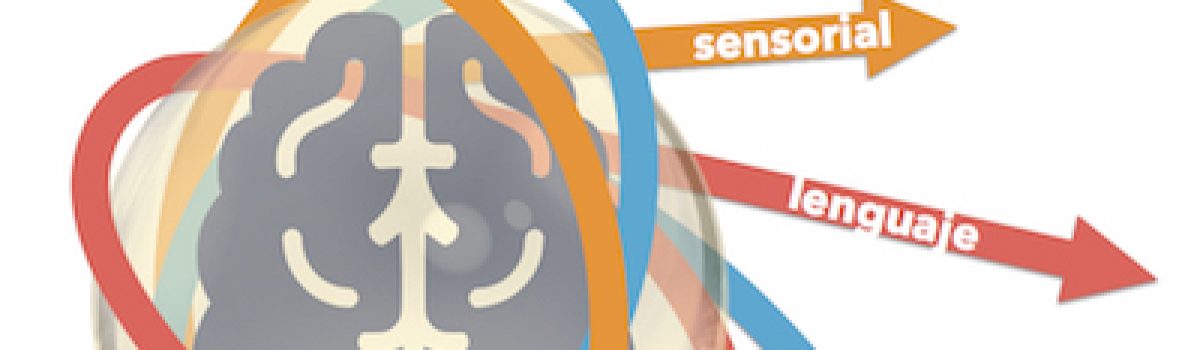 ¿Por qué importa la detección precoz? Períodos críticos del neurodesarrollo