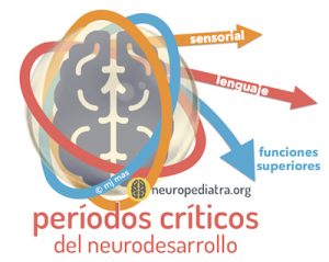 periodos-criticos