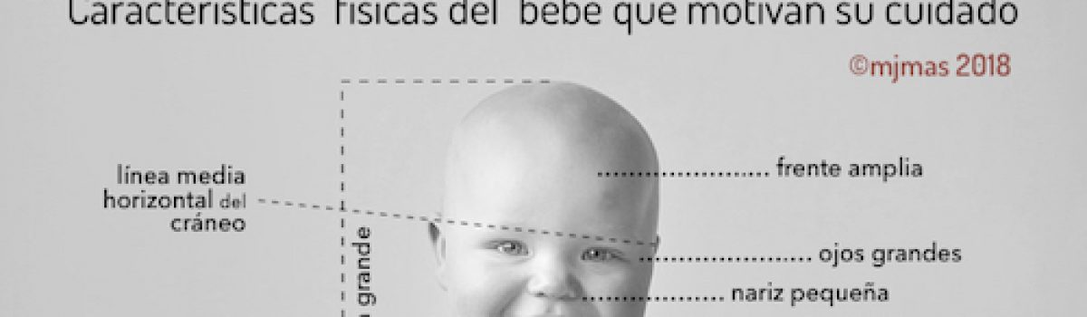 La cara de los bebés y el apego